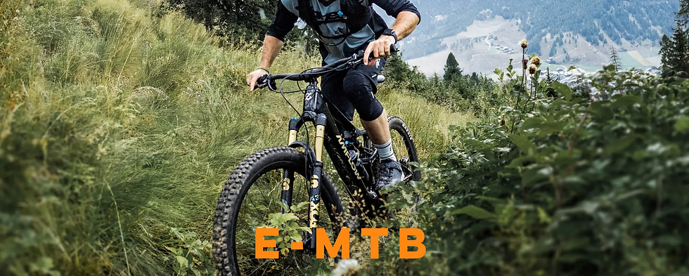 EMTB Banner.png