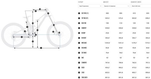 Orbea RALLON D-LTD Coastal Bike Co