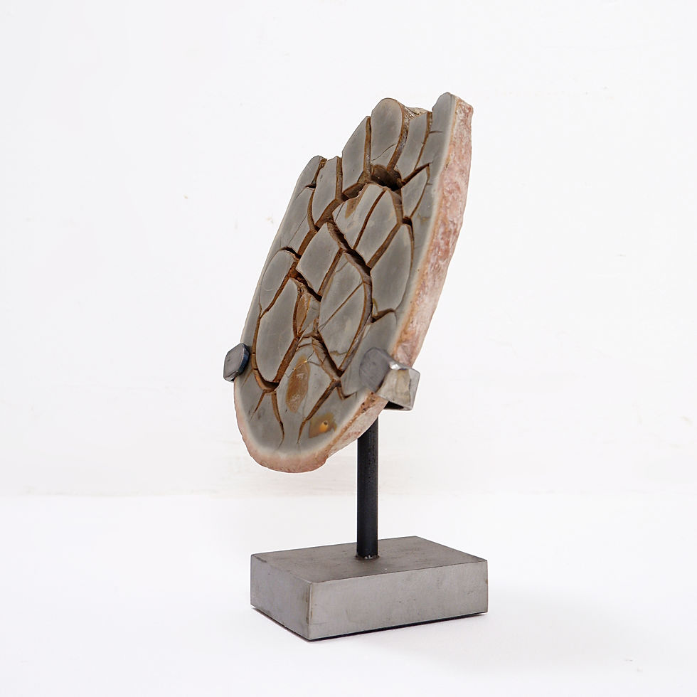 Miniature : Septarian Nodule Custom on stand