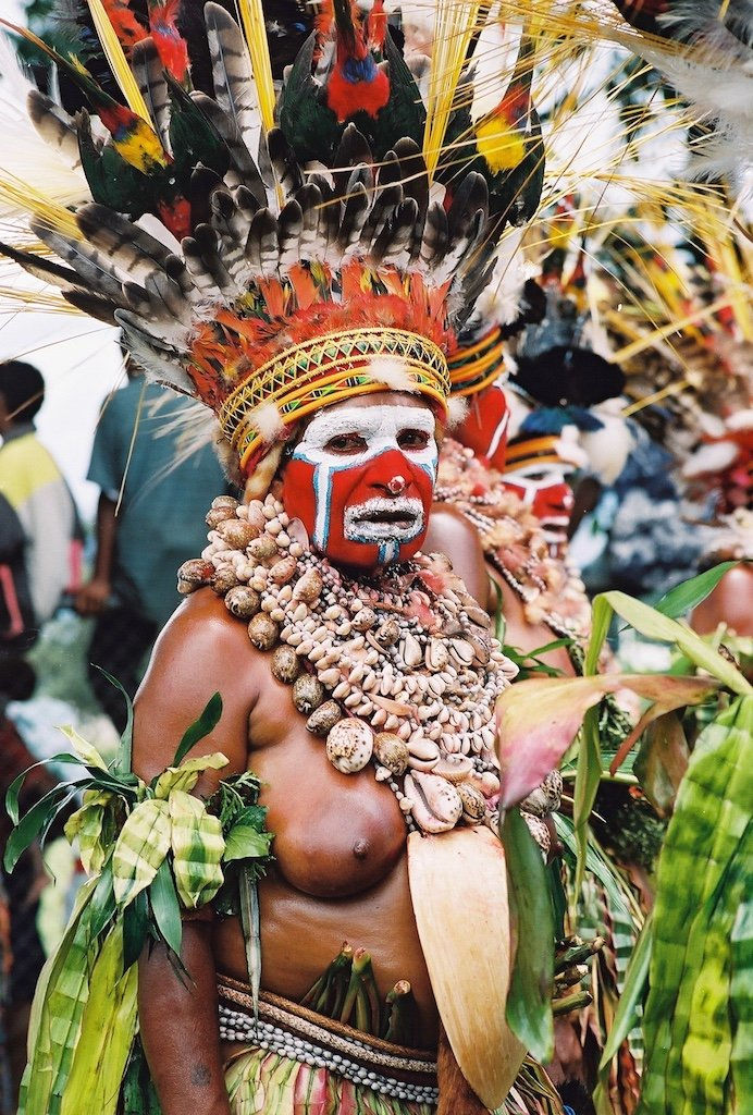 Miniature : New Guinea Shell Breastplate