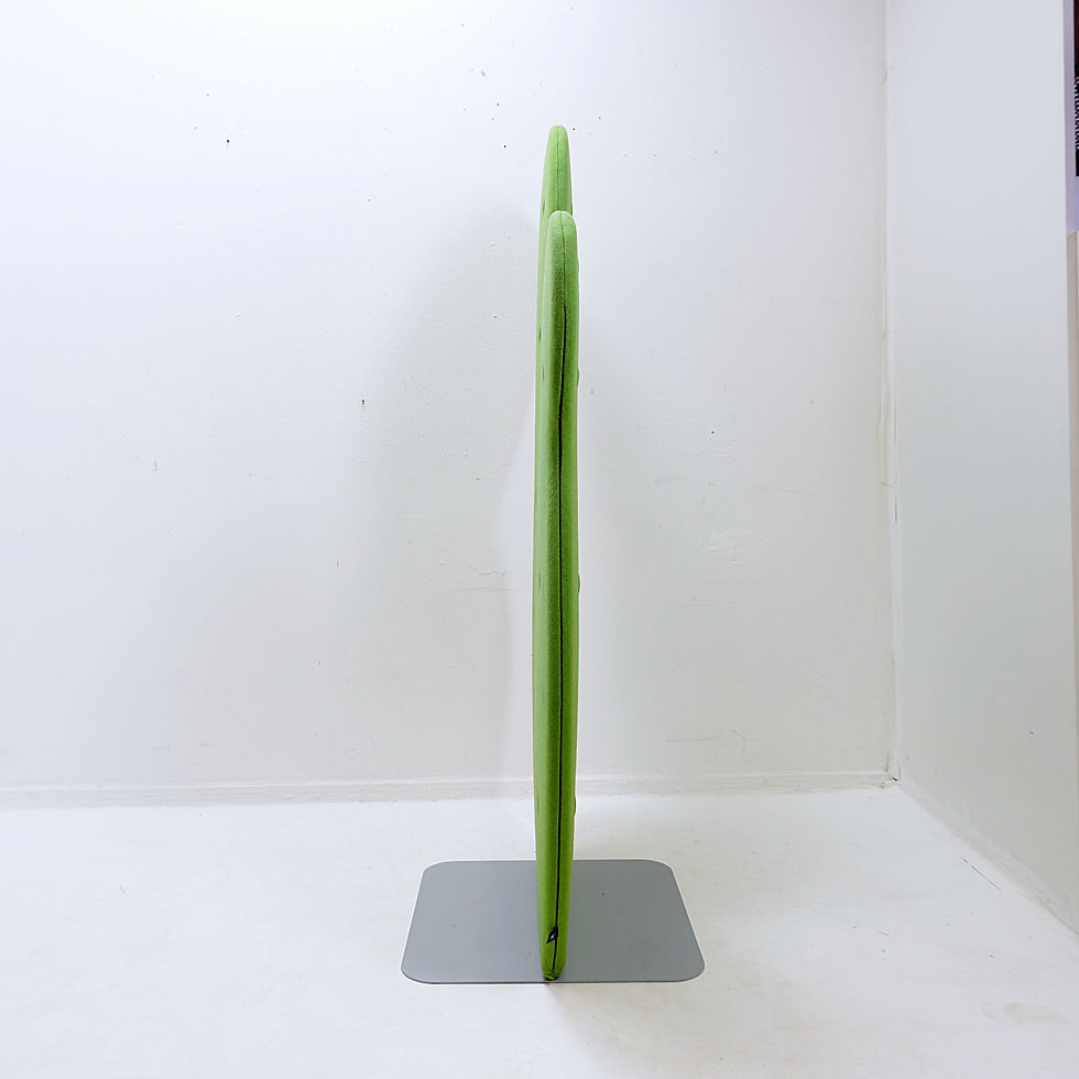 Miniature : Acoustic partition wall "Taco BuzziCactus" by Sas Adriaenssens - Belgium