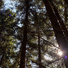 Jasmin Valcarcel Photography_Empoca_Sommercamp_3023.jpg