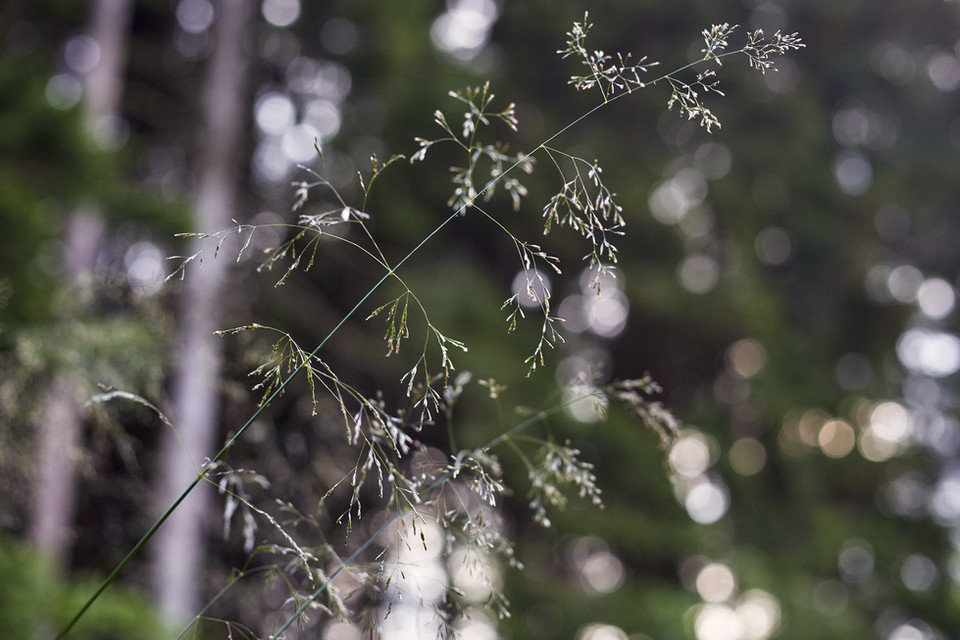 Jasmin Valcarcel Photography_EmPoCa_SommerCamp_0119.jpg