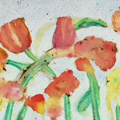 Blooming Spring Flowers