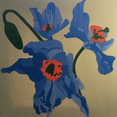 Les Pavots Bleus