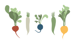 Untitled-7-01.png