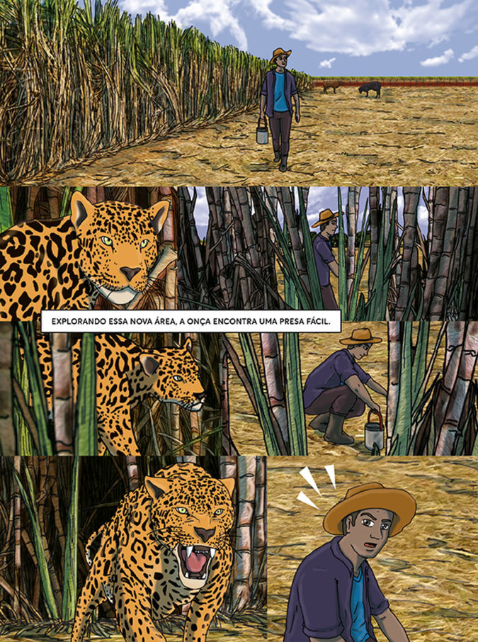 Página 4/9 da HQ Conflitos pela sobrevivência I 2020