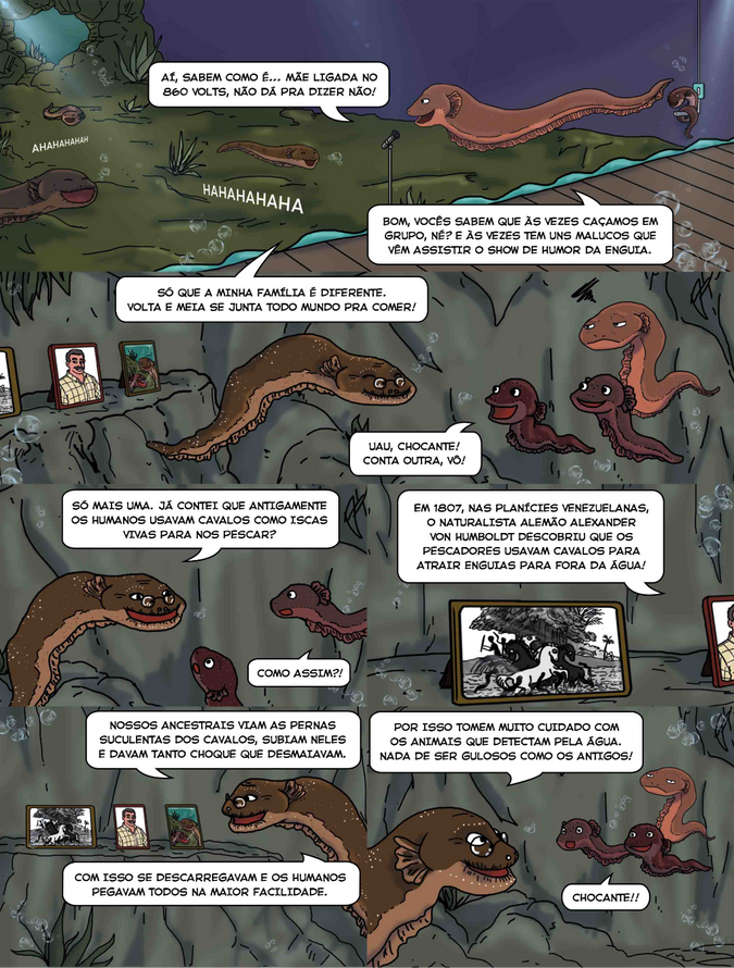 Página 6/8 da HQ O show do Poraquê I 2022