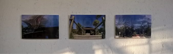 Lorem Animalium I 2017