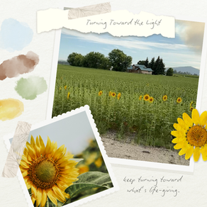A collage of two photos, one of a field of sunflowers with a farm house in the distance, the other of a clooseup of a  sunflower, additional collage elements are a dried and pressed sunflower, water color brush strokes og umber, green and yellow