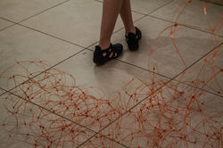IMG_5821.jpg