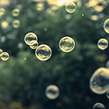 Bubbles