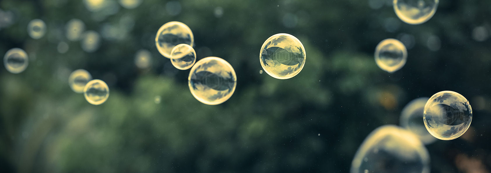 Bubbles