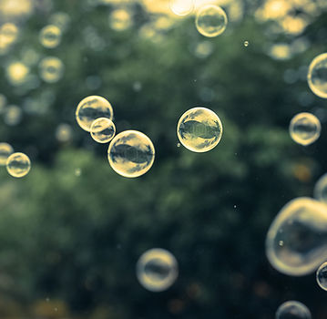 Bubbles in nature