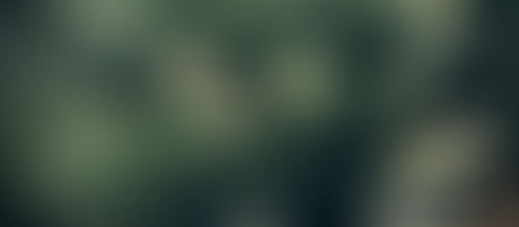 De la purification à l’émergence de soi