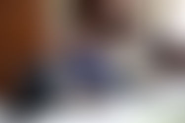 Diputados reciben al director de Alianzas Público Privadas para analizar proyecto de ley