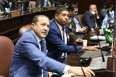 Apretada agenda de sesiones anuncian los diputados para este mes de marzo
