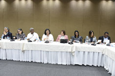 Cámara de Diputados y entidades internacionales conversan para solución temas comunes