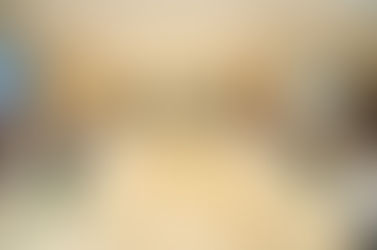 Cámara de Diputados participa en encuentro conjunto con el Senado sobre Plataforma Parlamentaria contra el Metano