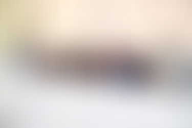 Comisión de Medio Ambiente de la Cámara de Diputados se organiza para agilizar estudio proyectos que