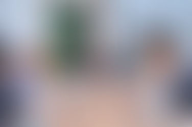 Diputados debaten con experta sobre la obesidad como enfermedad en RD