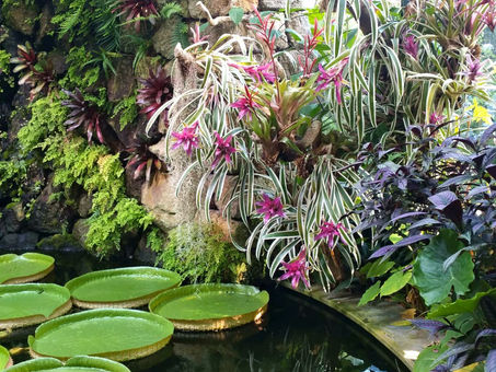 I GIARDINI LA MORTELLA DI ISCHIA