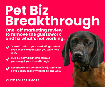 Copy of Fetch Social Media Success (7).png