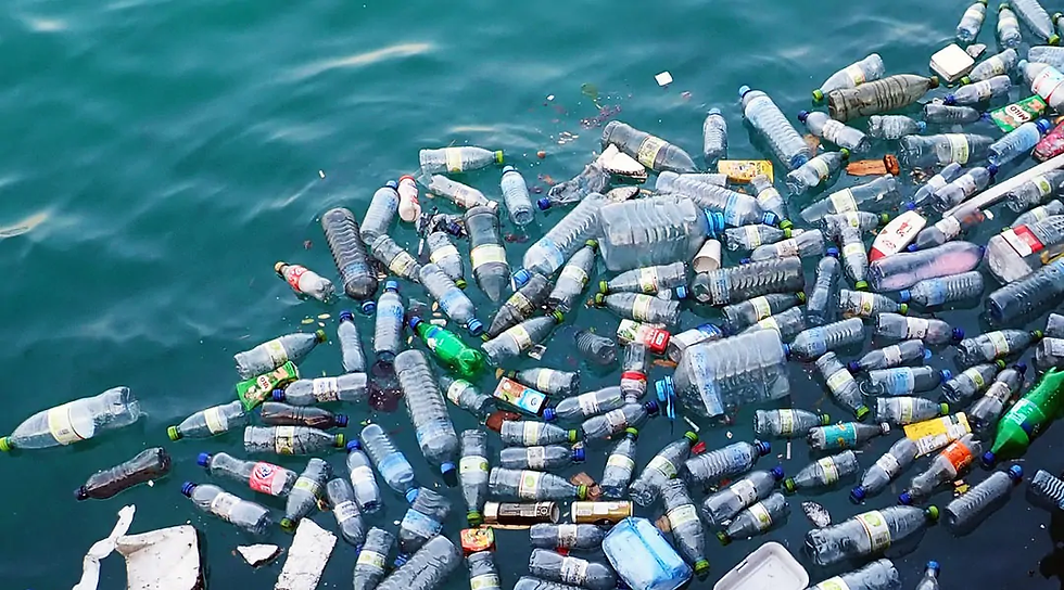 Consequences of plastic waste on future life!