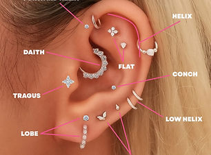 Piercing_Chart_1_db982134-a233-4a34-9ce3