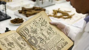 The Badianus Codex: A Link in the Chain of Knowledge