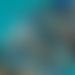 La France en retard sur le streaming payant