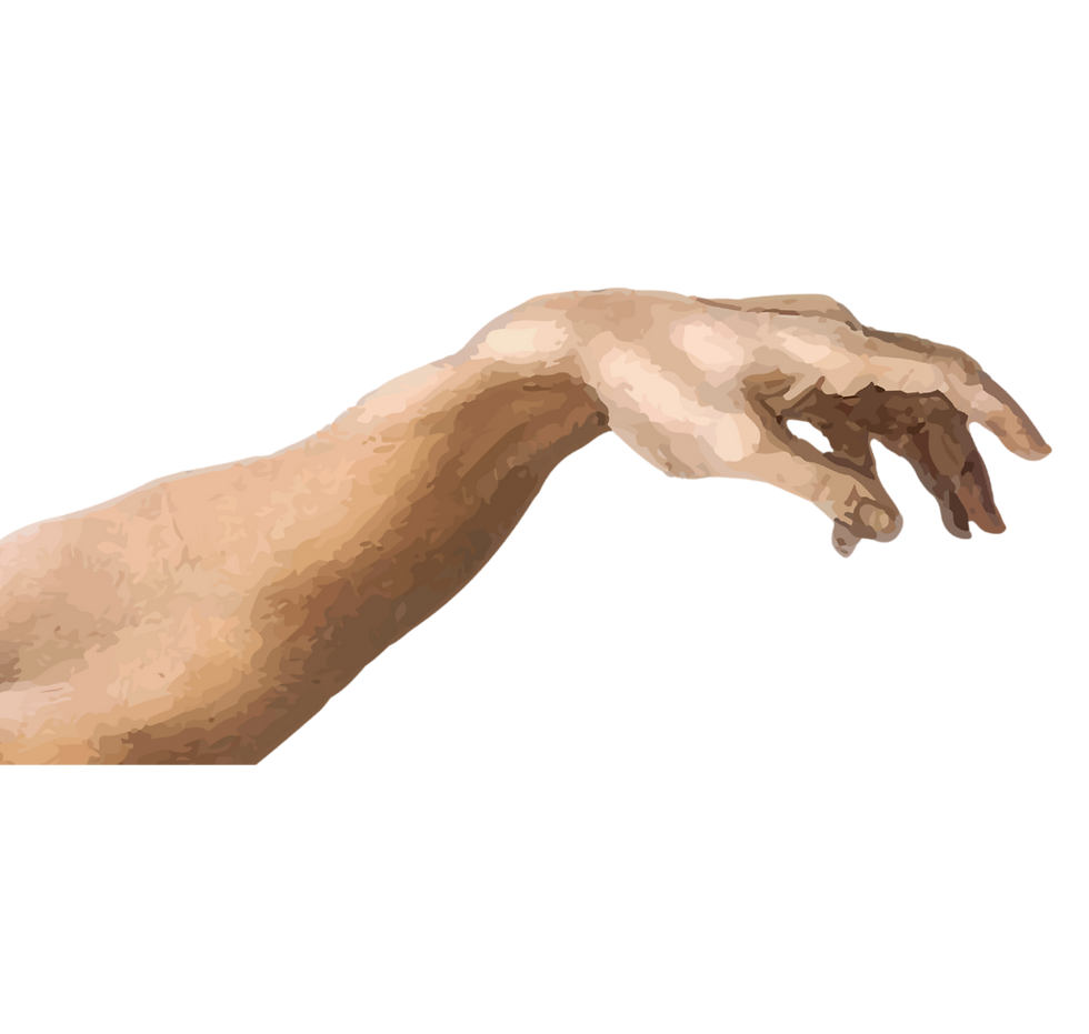 michelangelo_edited.png