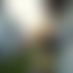 Top Benefits of Home Safety Technology in Canada