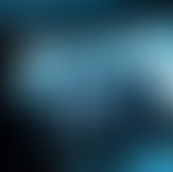 The Value of Professional Security Monitoring