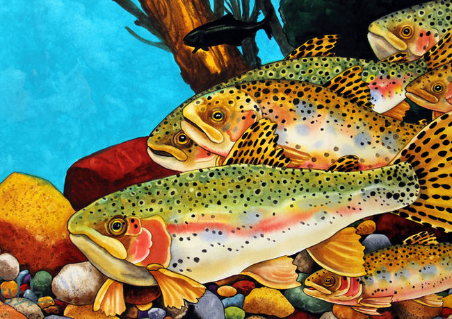 Kendahl Jan Jubb loves to look for Cutthroat Trout in Westernn Montana around Missoula. Faviorite streams for Trout are the Bitterrroot River, Blackfoot River and Flathead Lake.