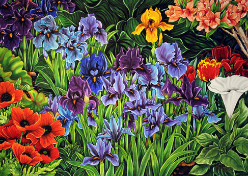 Blue and Purple Iris