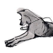 Logo de Bicho di Casa