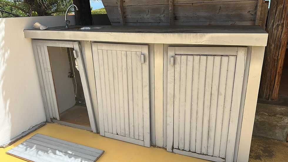 Outdoor kitchen front renovation