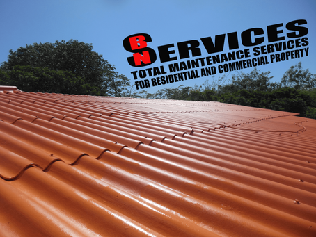 Painting by bn services bv update 1