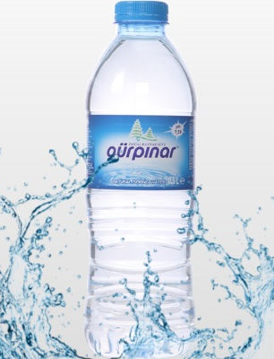 GÜRPINAR PET SU 0,5LT.jpg