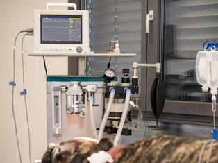 Yoğun Bakım Ünitesi Hizmeti.jpg