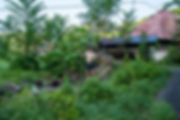 DSC_8726G.jpg