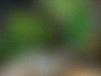 Enredaderas sintéticas: cómo añadir un toque de naturaleza con follaje artificial