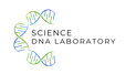 9.png