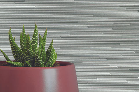 Succulent in pot against textured wallpaper