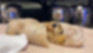 Breakfast Burrito image