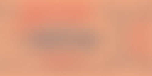 Democratic National Convention