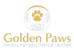 Golden Paws Senior Dog Mobility Treatment