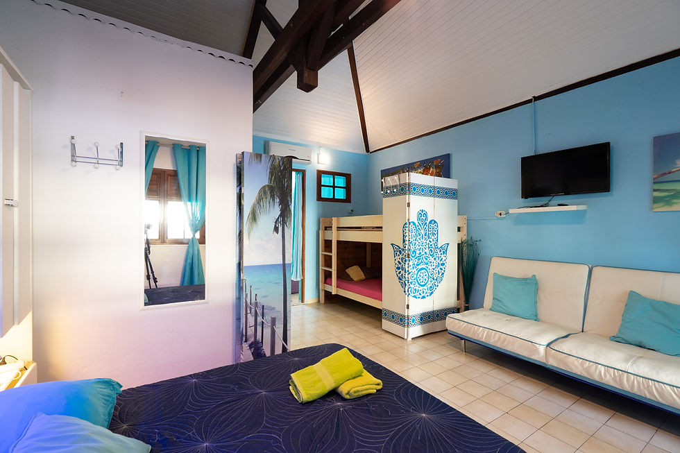 CHAMBRE 2 RÊVE BLEU