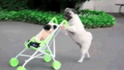 anigif_enhanced-buzz-13613-1355761226-14